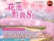 C27:花進黔貴8日～貴州黃果樹瀑布、平壩櫻花、西江千戶苗寨、青岩古鎮、三排椅【無自費】