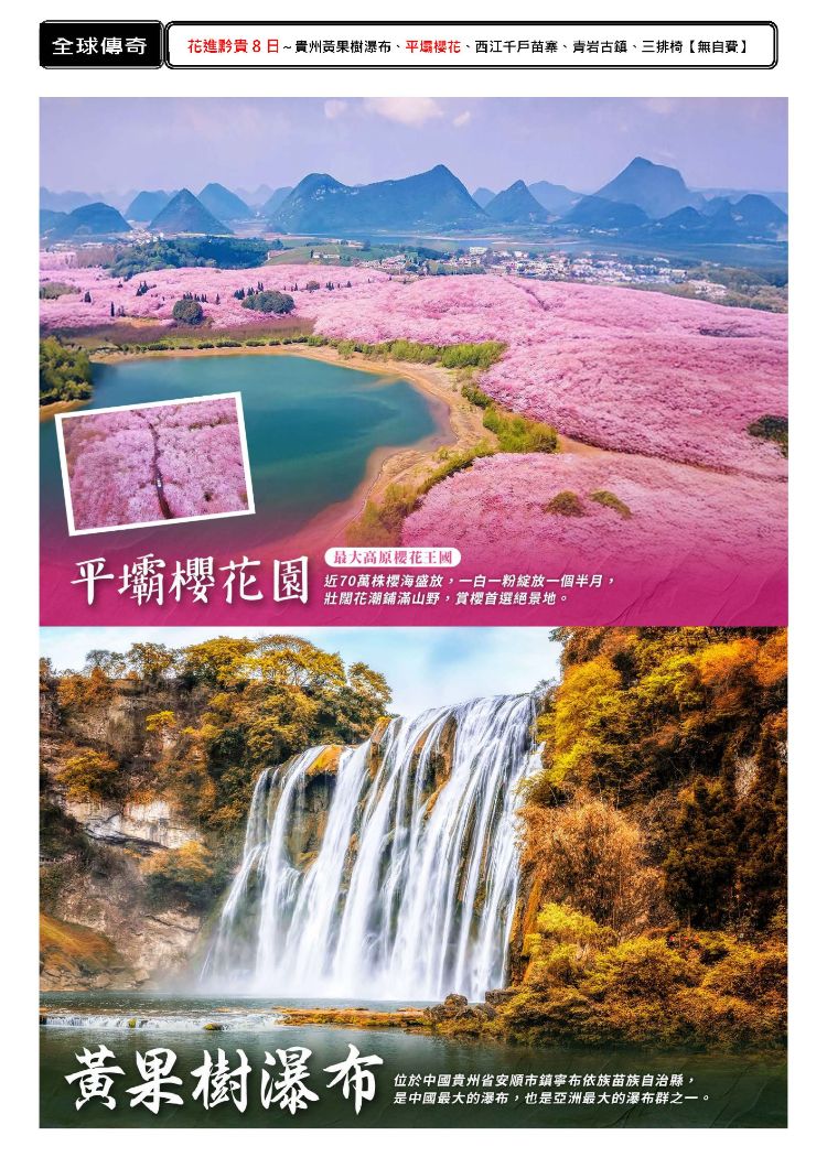 C27:花進黔貴8日～貴州黃果樹瀑布、平壩櫻花、西江千戶苗寨、青岩古鎮、三排椅【無自費】